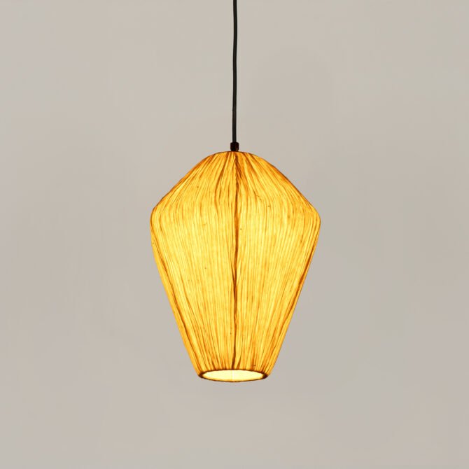 OR019-Mrinal - Image 2